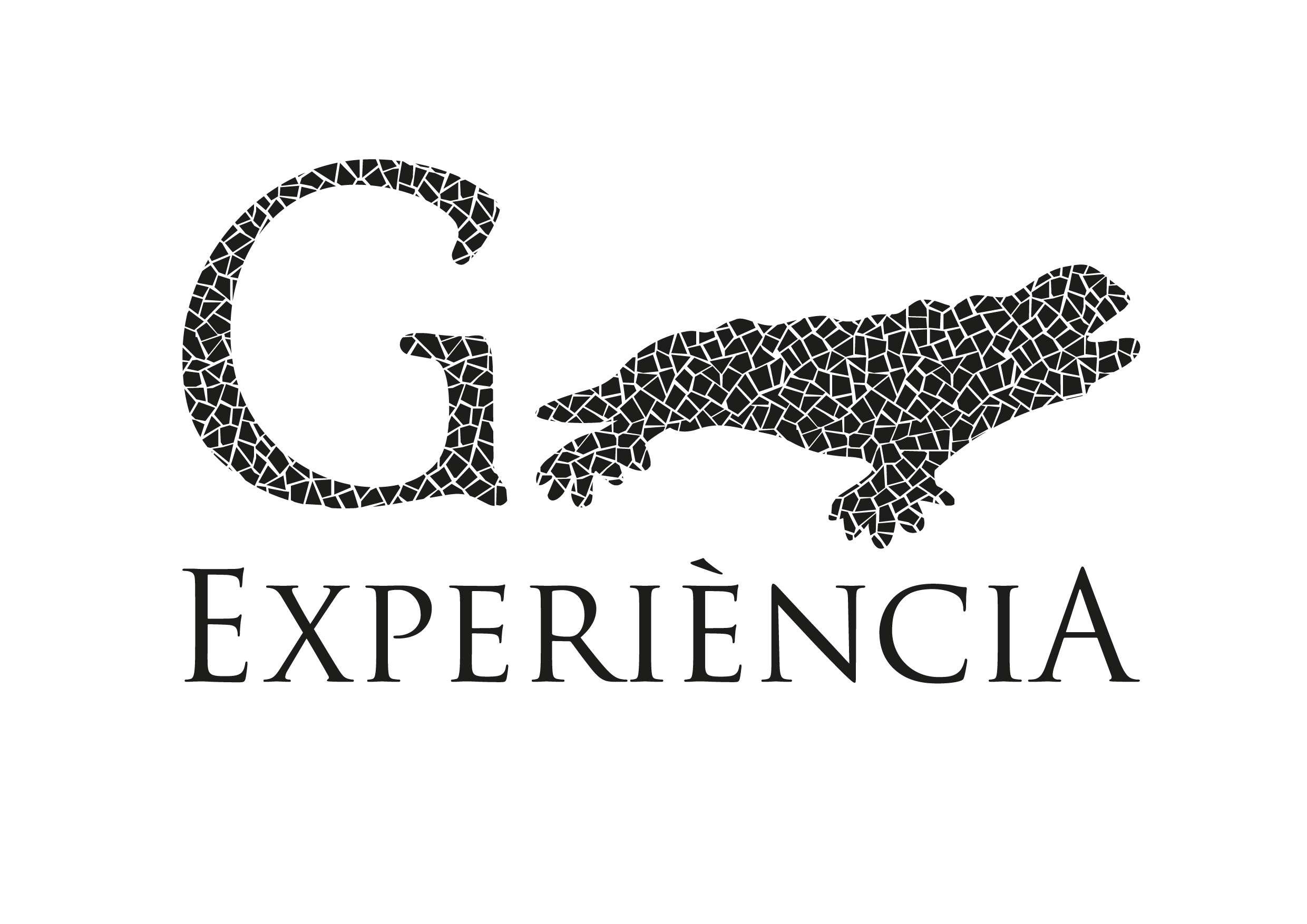 Gaudí Experiència